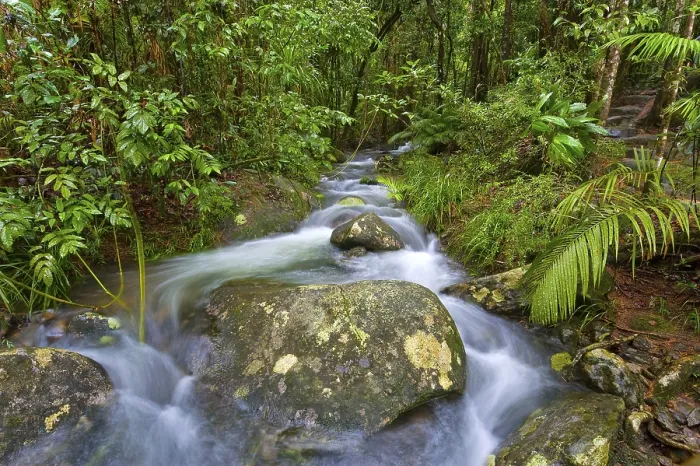 Gerahmter Druck : Flusslauf, Wasser, Bach, Fluss Gerahmter Druck : Flusslauf, Wasser, Bach, Fluss