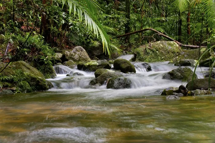 Gerahmter Druck : Flussverlauf, Wasser, Bach, Fluss Gerahmter Druck : Flussverlauf, Wasser, Bach, Fluss