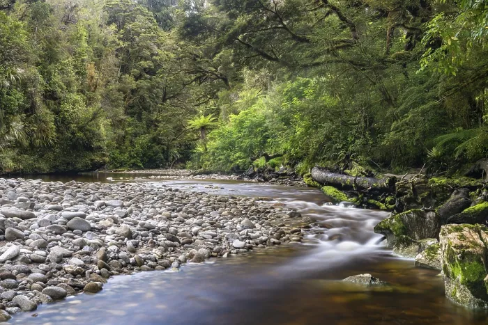 Gerahmter Druck : Der Fluss fließt durch Regenwald. Gerahmter Druck : Der Fluss fließt durch Regenwald.