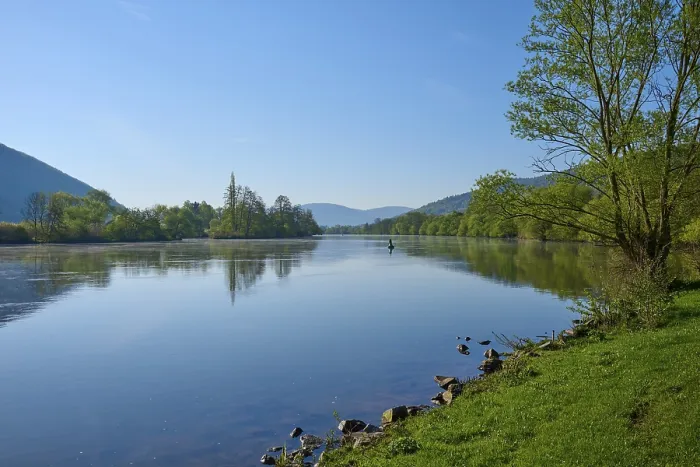 Gerahmter Druck : Flusslandschaft, Ufer, Baum, Quelle Gerahmter Druck : Flusslandschaft, Ufer, Baum, Quelle