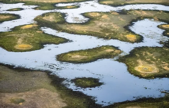 Gerahmter Druck : Flusslandschaft mit vielen Inseln. Gerahmter Druck : Flusslandschaft mit vielen Inseln.