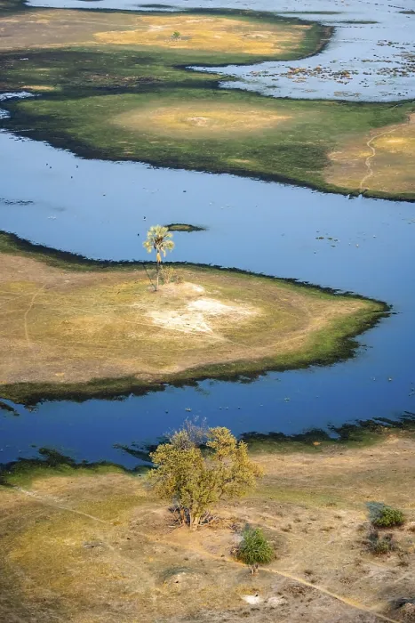 Gerahmter Druck : Flusslandschaft mit Palmenbaum. Gerahmter Druck : Flusslandschaft mit Palmenbaum.