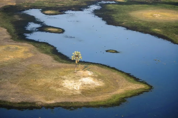 Gerahmter Druck : Flusslandschaft mit Palmenbaum. Gerahmter Druck : Flusslandschaft mit Palmenbaum.