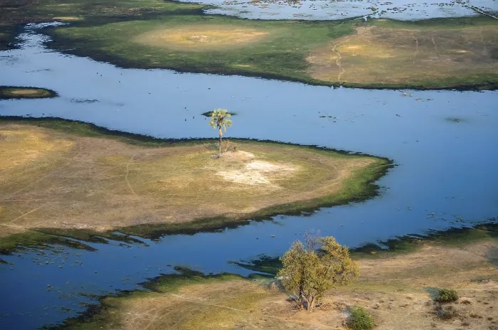 Gerahmter Druck : Flusslandschaft mit Palmenbaum. Gerahmter Druck : Flusslandschaft mit Palmenbaum.