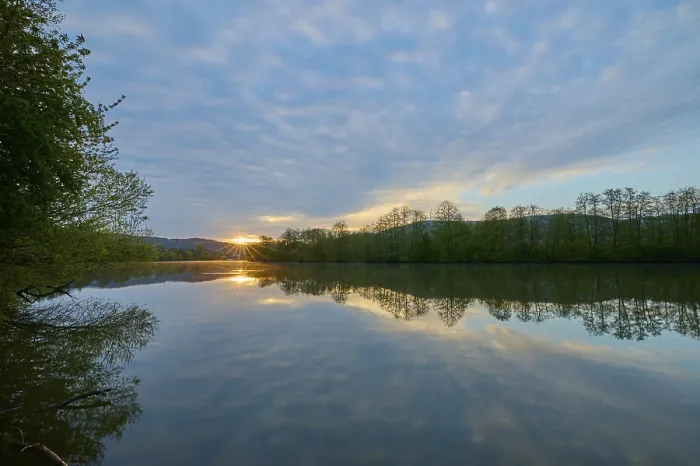 Gerahmter Druck : Flusslandschaft, Reflexion, Baum. Gerahmter Druck : Flusslandschaft, Reflexion, Baum.