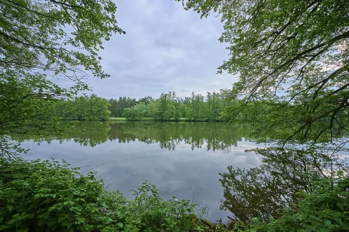 Gerahmter Druck : Flusslandschaft, Reflexion, Baum. Gerahmter Druck : Flusslandschaft, Reflexion, Baum.