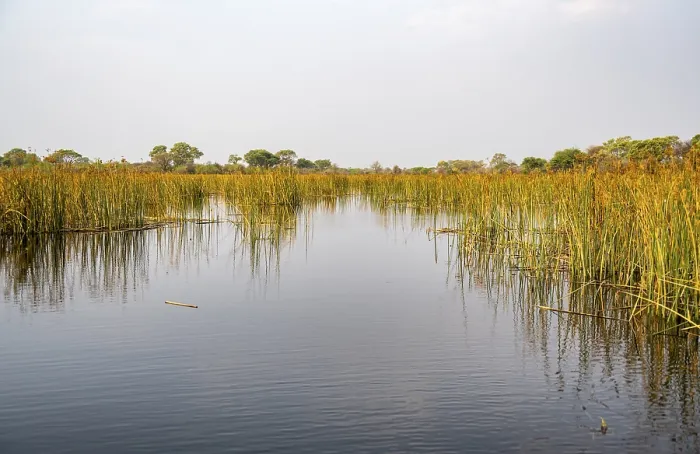 Gerahmter Druck : Flusslandschaft, Spiegelung im Wasser. Gerahmter Druck : Flusslandschaft, Spiegelung im Wasser.