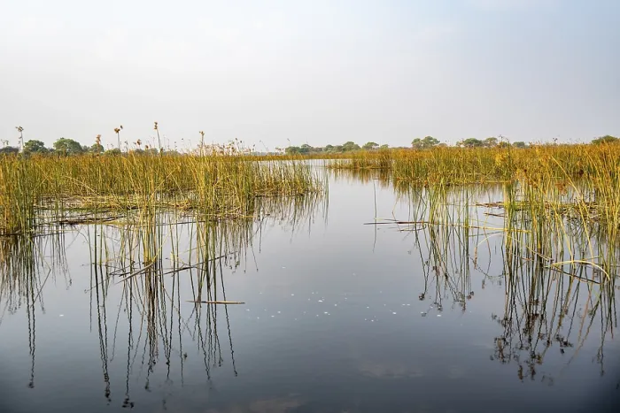 Gerahmter Druck : Flusslandschaft, Reflexion im Wasser. Gerahmter Druck : Flusslandschaft, Reflexion im Wasser.