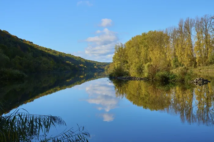 Gerahmter Druck : Fluss, Main, Bäume, Spiegelung Gerahmter Druck : Fluss, Main, Bäume, Spiegelung