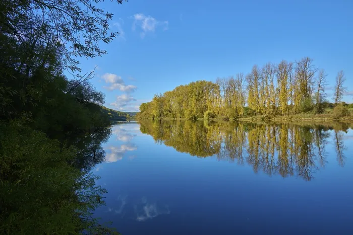 Gerahmter Druck : Fluss, Main, Bäume, Spiegelung Gerahmter Druck : Fluss, Main, Bäume, Spiegelung