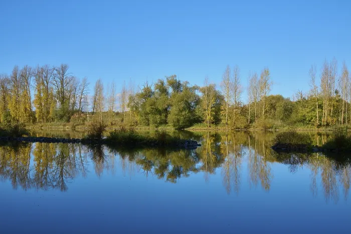 Gerahmter Druck : Fluss, Main, Bäume, Spiegelung Gerahmter Druck : Fluss, Main, Bäume, Spiegelung