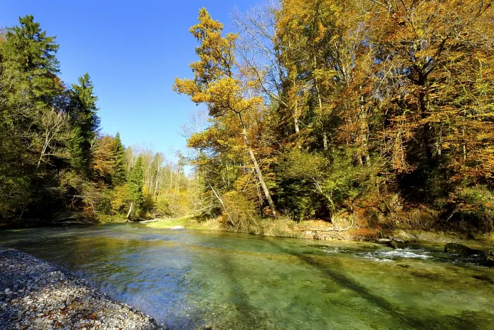 Gerahmter Druck : Fluss Mangfall, zwischen Tal und Maxlmühle. Gerahmter Druck : Fluss Mangfall, zwischen Tal und Maxlmühle.