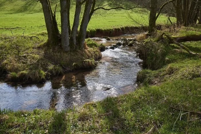 Gerahmter Druck : Fluss, Wiese, Baum, Quelle, Odenwald Gerahmter Druck : Fluss, Wiese, Baum, Quelle, Odenwald