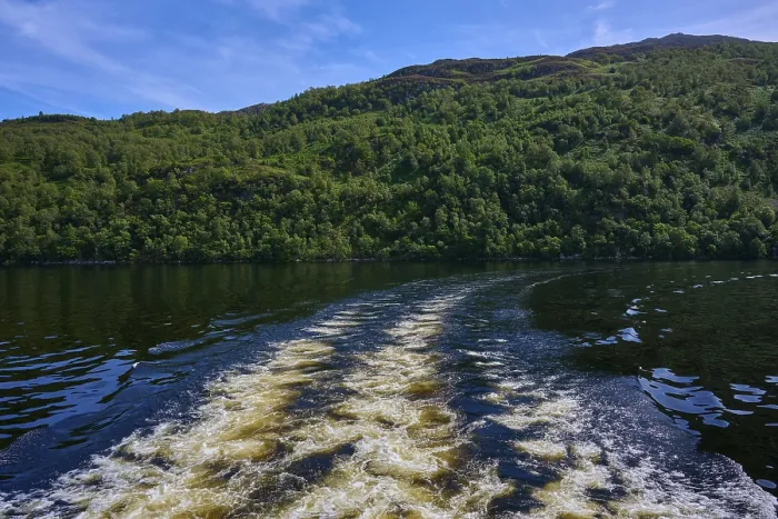Gerahmter Druck : Ein Flussperspektive mit Wellen, die durch ein Boot erzeugt werden und von einem Wald umgeben sind. Gerahmter Druck : Ein Flussperspektive mit Wellen, die durch ein Boot erzeugt werden und von einem Wald umgeben sind.