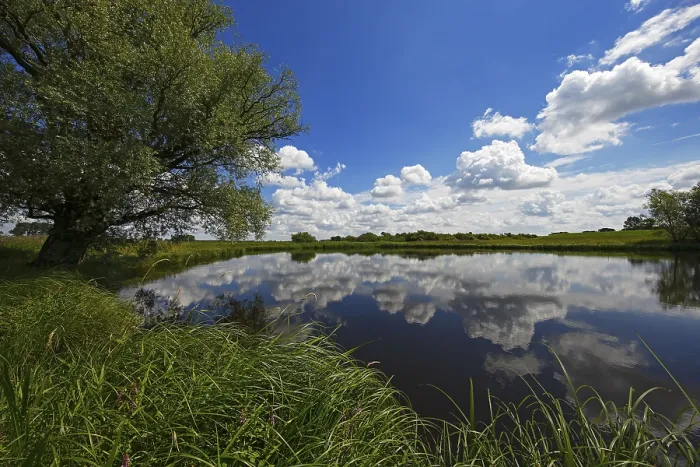 Gerahmter Druck : Fluss Sude mit bewölktem Himmel, Reflexion. Gerahmter Druck : Fluss Sude mit bewölktem Himmel, Reflexion.