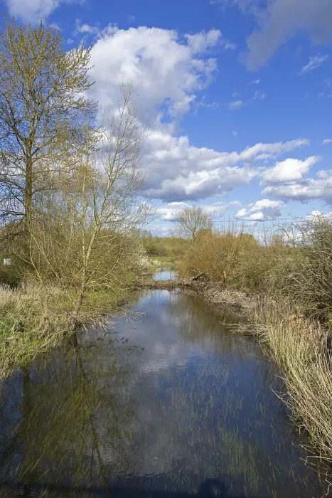 Gerahmter Druck : Fluss Themse, Wolken, Waterhay Gerahmter Druck : Fluss Themse, Wolken, Waterhay