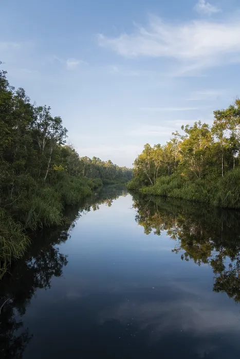Gerahmter Druck : Blick auf den Fluss in Tanjung Puting Nationalpark, Westkalimantan, Indonesien Gerahmter Druck : Blick auf den Fluss in Tanjung Puting Nationalpark, Westkalimantan, Indonesien