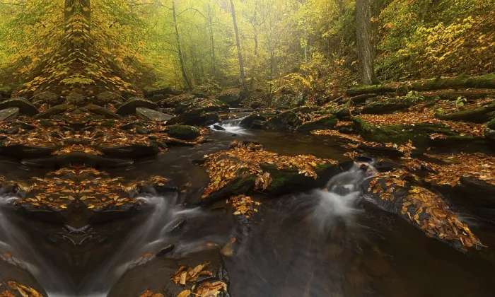 Gerahmter Druck : Fluss mit Wasserfall in der Regenwald. Gerahmter Druck : Fluss mit Wasserfall in der Regenwald.
