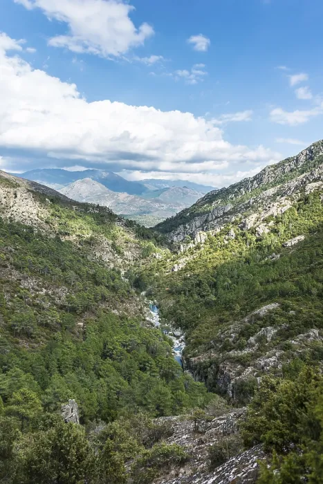 Gerahmter Druck : Bett des Tavignano, Corte. Gerahmter Druck : Bett des Tavignano, Corte.