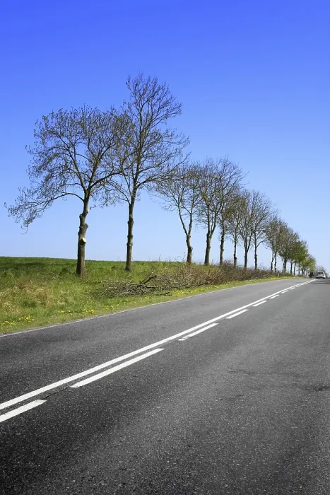 Gerahmter Druck : Road Gerahmter Druck : Road