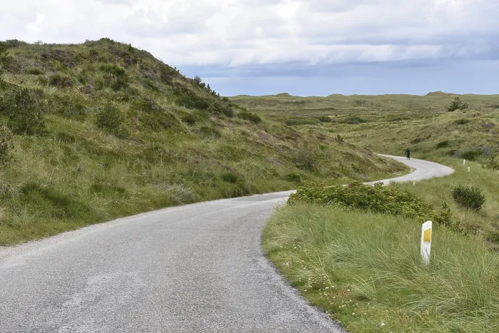 Gerahmter Druck : Straße in den Dünen von Dänemark. Gerahmter Druck : Straße in den Dünen von Dänemark.