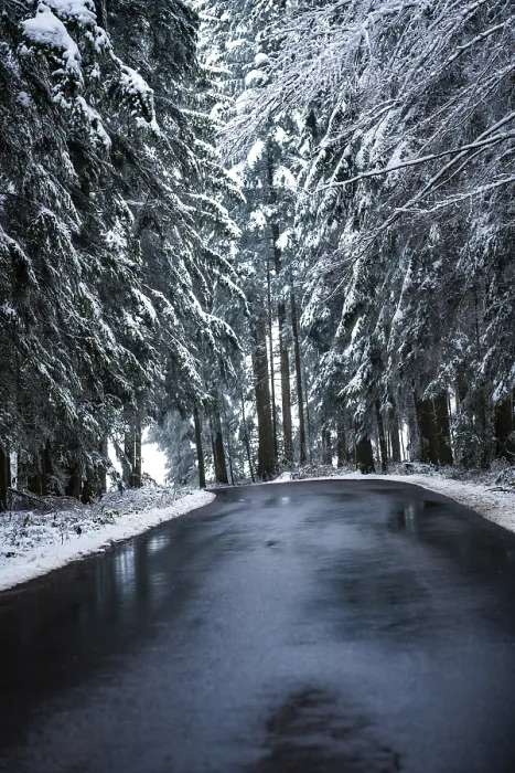 Gerahmter Druck : Straße durch den Wald im Schnee. Gerahmter Druck : Straße durch den Wald im Schnee.