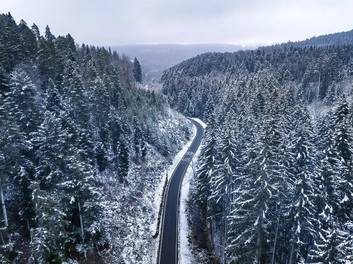 Gerahmter Druck : Straße durch den Wald im Schnee. Gerahmter Druck : Straße durch den Wald im Schnee.