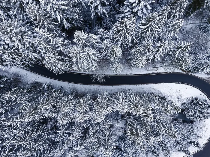 Gerahmter Druck : Straße durch den Wald im Schnee. Gerahmter Druck : Straße durch den Wald im Schnee.