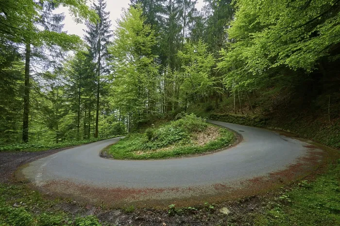 Gerahmter Druck : Eine Straße macht einen scharfen Knick oder eine Kehre mitten in einem grünen Wald. Gerahmter Druck : Eine Straße macht einen scharfen Knick oder eine Kehre mitten in einem grünen Wald.