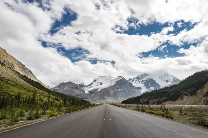 Gerahmter Druck : Straße, Rücken des Mount Athabasca, Icefields Parkway Gerahmter Druck : Straße, Rücken des Mount Athabasca, Icefields Parkway