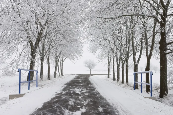 Gerahmter Druck : Leere Straße im Winter. Gerahmter Druck : Leere Straße im Winter.