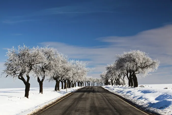 Gerahmter Druck : Leere Straße im Winter. Gerahmter Druck : Leere Straße im Winter.