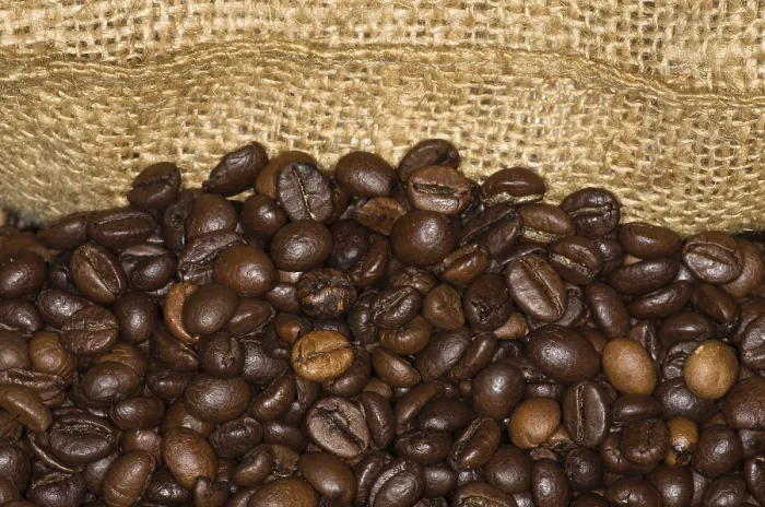 Gerahmter Druck : Gekochte Kaffeebohnen in Jutesack. Gerahmter Druck : Gekochte Kaffeebohnen in Jutesack.