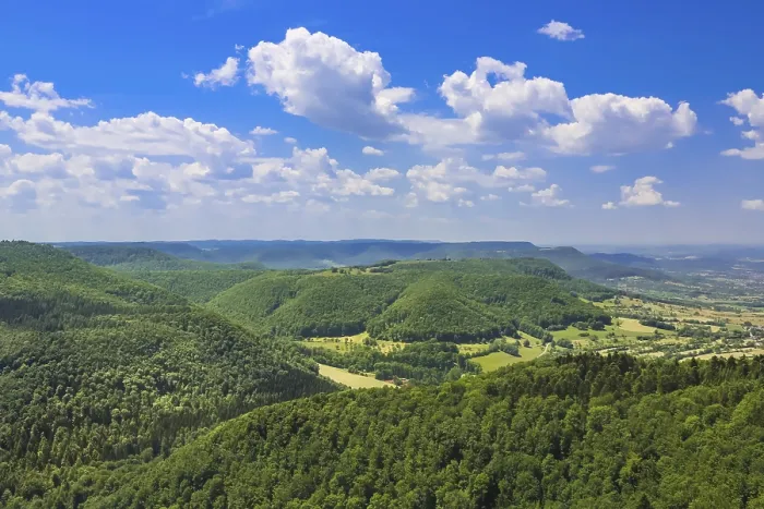 Gerahmter Druck : RoBberg, Blick vom RoBberg Turm. Gerahmter Druck : RoBberg, Blick vom RoBberg Turm.