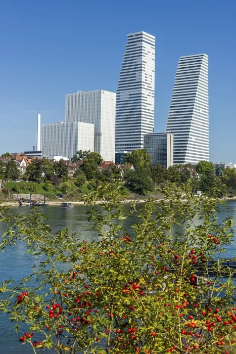 Gerahmter Druck : Roche-Turm am Rhein in Basel Gerahmter Druck : Roche-Turm am Rhein in Basel