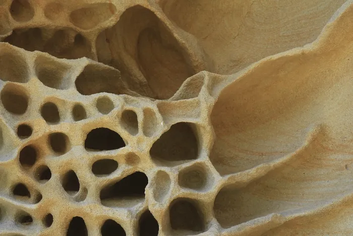 Gerahmter Druck : Ein Detail eines Felsens an Bondi Beach. Gerahmter Druck : Ein Detail eines Felsens an Bondi Beach.