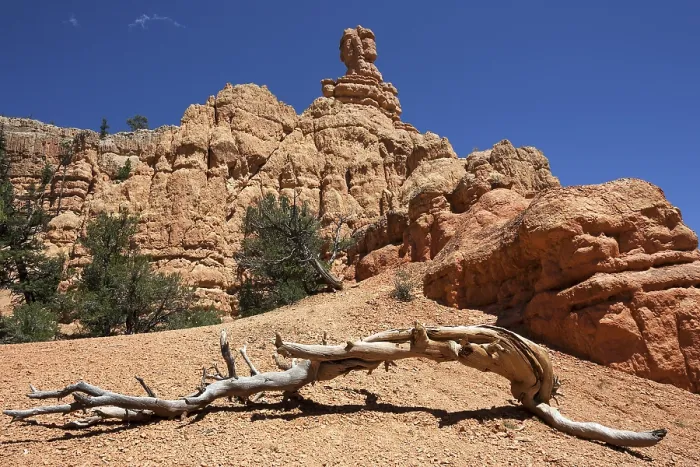 Gerahmter Druck : Felsformationen durch Erosion.
