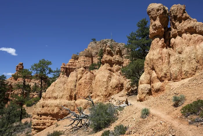 Gerahmter Druck : Felsformationen durch Erosion. Gerahmter Druck : Felsformationen durch Erosion.