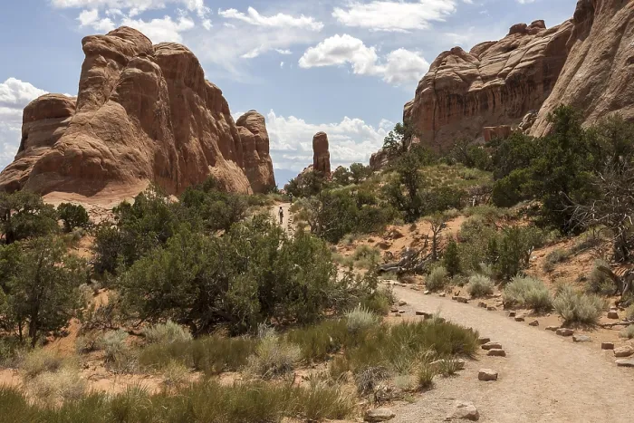 Gerahmter Druck : Felsformationen am Devil's Garden Trailhead Gerahmter Druck : Felsformationen am Devil's Garden Trailhead