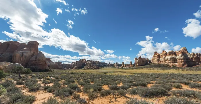 Gerahmter Druck : Felsformationen, The Needles District Gerahmter Druck : Felsformationen, The Needles District