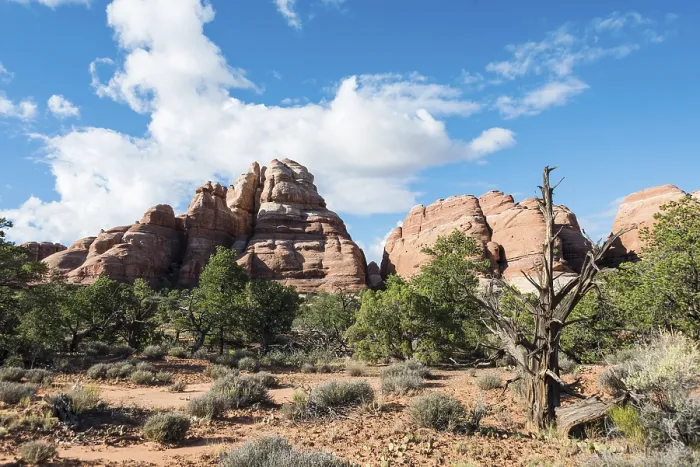 Gerahmter Druck : Felsformationen im Needles District Gerahmter Druck : Felsformationen im Needles District