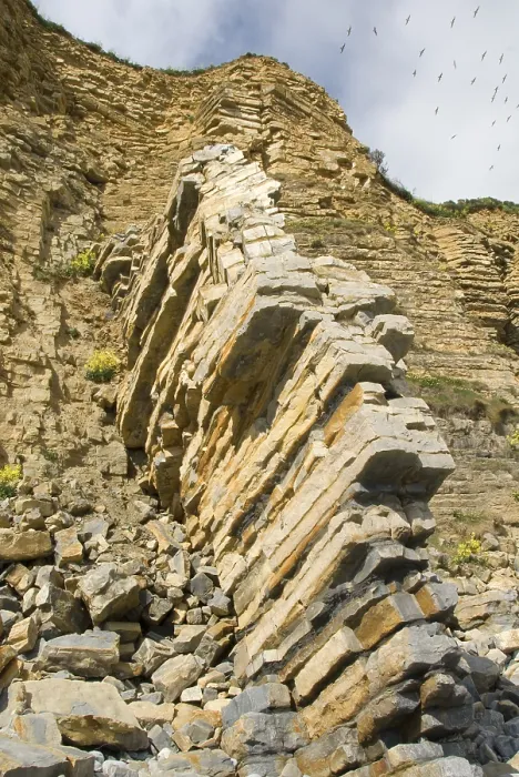 Gerahmter Druck : Felssturz in Llantwit Major Beach, Wales, Vereinigtes Königreich, Europa Gerahmter Druck : Felssturz in Llantwit Major Beach, Wales, Vereinigtes Königreich, Europa