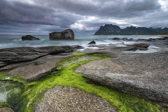 Gerahmter Druck : Felsen am Strand von Uttakleiv. Gerahmter Druck : Felsen am Strand von Uttakleiv.