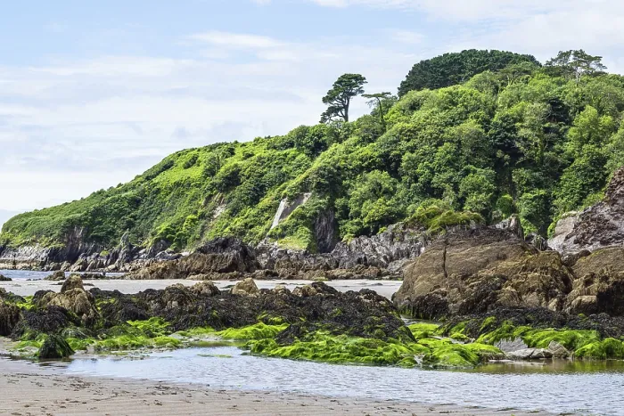 Gerahmter Druck : Felsen und Klippen auf der Mothecombe Beach. Gerahmter Druck : Felsen und Klippen auf der Mothecombe Beach.