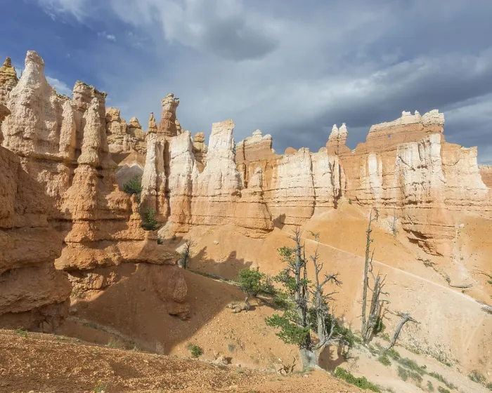 Gerahmter Druck : Felsen des Navajo Loop Trails Gerahmter Druck : Felsen des Navajo Loop Trails