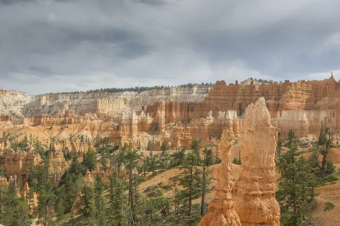 Gerahmter Druck : Felsen des Navajo Loop Trails Gerahmter Druck : Felsen des Navajo Loop Trails