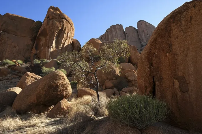 Gerahmter Druck : Felsen und Vegetation, Spitzkoppe Gerahmter Druck : Felsen und Vegetation, Spitzkoppe