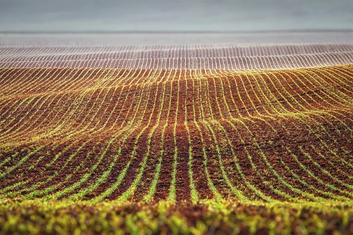 Gerahmter Druck : Waldlichtungen der Slowakei Gerahmter Druck : Waldlichtungen der Slowakei