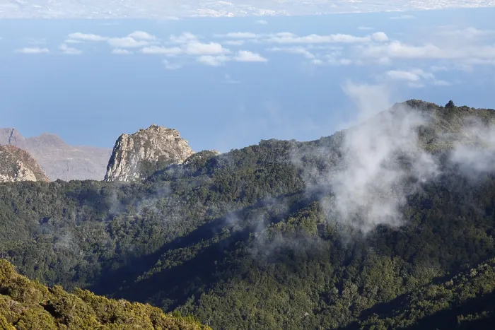 Gerahmter Druck : Berg Roque de Ojila, Wald. Gerahmter Druck : Berg Roque de Ojila, Wald.