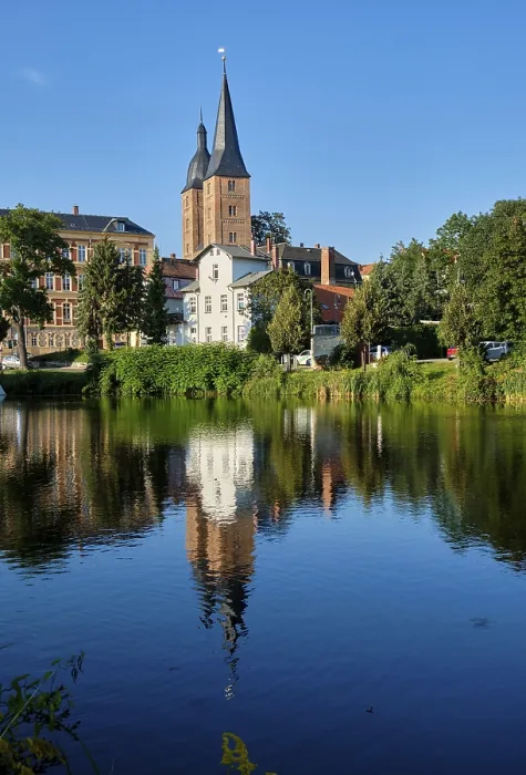 Gerahmter Druck : Rote Spitzen am kleinen Teich. Gerahmter Druck : Rote Spitzen am kleinen Teich.